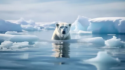 Fototapete polar bear © Benjamin