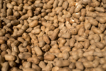 Closeup image of peanuts are being dried 