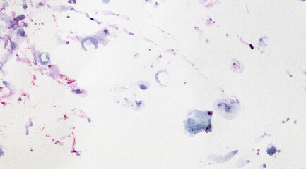 Bilberry stains on white paper. Abstract background