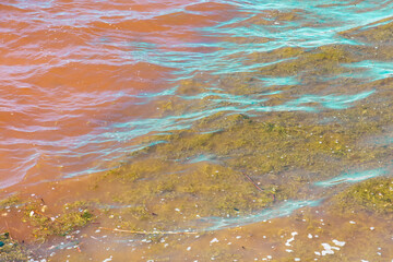 Multi-colored water with algae on the river as a background