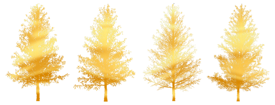 Set of 4 pine trees separated from the background with high quality graphic gold effect, suitable as graphic design materials, decorative items, and printed products
