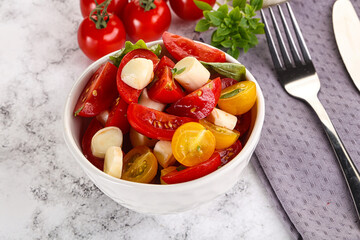 Italian Caprese salad with tomato and mozzarella