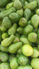 avocado fruit background, pile of green avocados