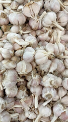 garlic background, pile of garlic on white