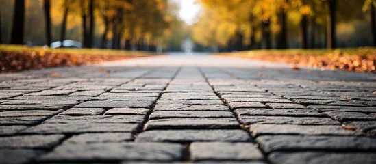  Stone road made of paving stones © Vusal