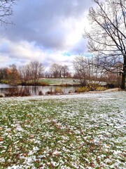 autumn in the park
