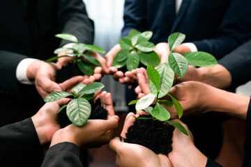 Eco-friendly investment on reforestation by group of business people holding plant together in...