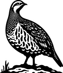 Northern Bobwhite icon