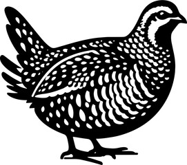 Northern Bobwhite icon 6