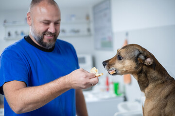 The vet giving a snack to a good dog patient in an animal hospital and smiles