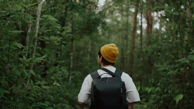 A man backpacker traveling alone in forest wild. Young man hiking trip through the green forest with backpacks. Asian man traveler explore while walking in green forest. Travel and backpack concept