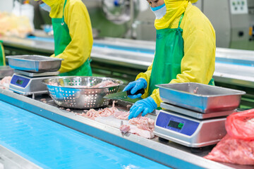 Worker cut and trim chicken meat on white cutting board and weighing.