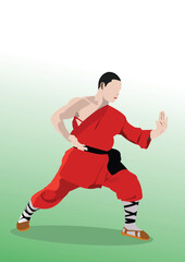 Fototapeta na wymiar Oriental combat sports. Kung Fu. Colored 3d vector illustration