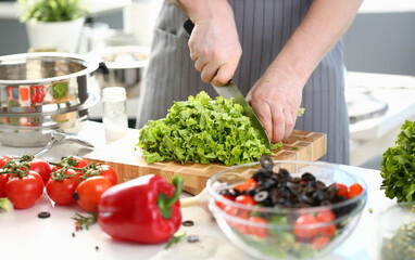 Male cook makes vegetable salad and cuts green lettuce leaves. Cooking delicious vegetarian salads concept