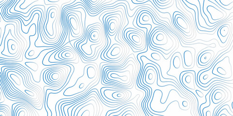 Topography relief. Outline cartography landscape. topo contour map and ocean topographic line map. Natural printing illustrations of maps