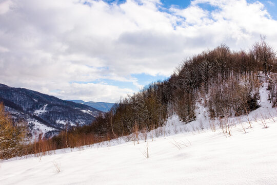 mountainous winter landscape. scenery with forested hills and snow covered meadows beneath clouds on a sunny day