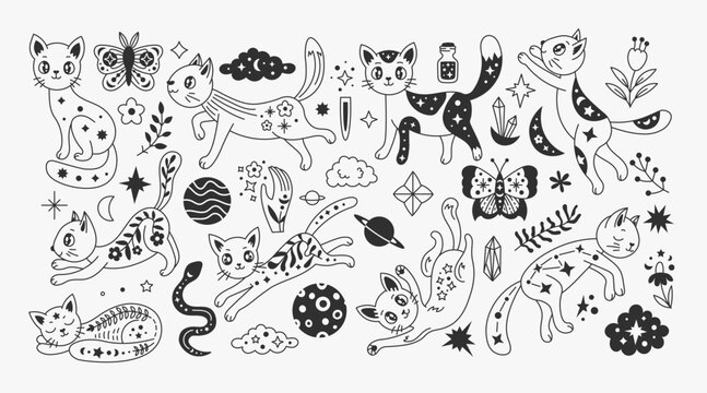 Celestial cats set in doodle style. Kawaii anime kittens in cartoon style. Esoteric vector illustration. Black line art mystical animals collection with stars and flowers. Magical pets.