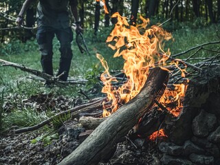 Man hands feeding putting logs firewood on a forest campfire, no face, camping