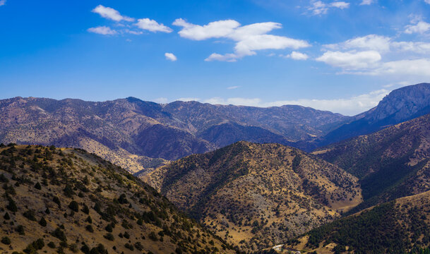 Mountains covered with grass and trees and cloudy dramatic sky on a daytime in Zaamin reserve.