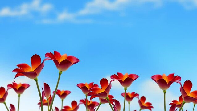 flowers Waving in Breeze