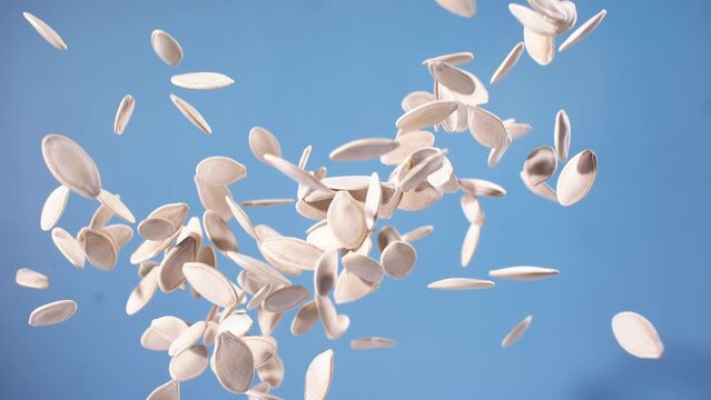 Pumpkin seed explodes closeup in super slow motion 1000fps