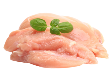Raw chicken meat isolated