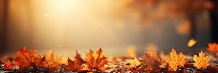 Naklejka na ściany i meble Falling Autumn Maple Leaves Natural Background , Banner Image For Website, Background, Desktop Wallpaper