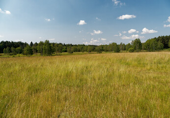 NSG An den Ziegenböcken, mit dem Klosterlausnitzer Moor, auch Roter Pfützensumpf genannt, zwischen Bad Klosterlausnitz, Eisenberg und Hainspitz, Landkreis Saale-Holzland-Kreis, Thüringen, Deutschland