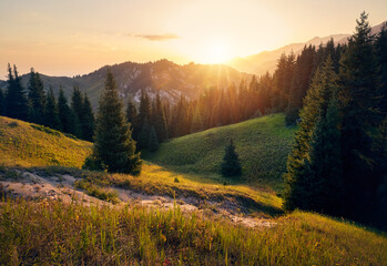 Beautiful landscape of the mountains and forest in Kazakhstan