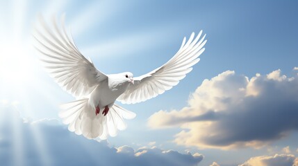 a white dove flying in the sky
