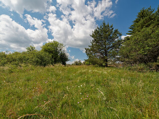 Landschaft im NSG „Hohe Rhön