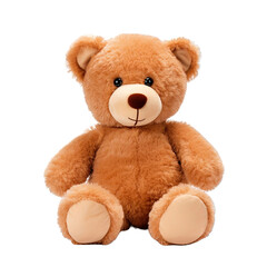Obraz premium teddy bear isolated