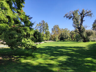Danube park in Novi Sad in bright sunny day