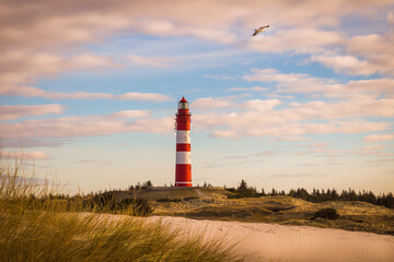 Leuchttrum von Amrum 