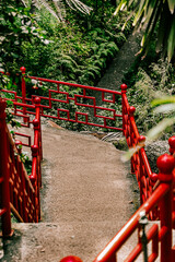 Fototapeta na wymiar red bridge in the park