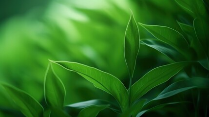 Abstract green blurred foliage and beauty natural leaf background. AI generated image