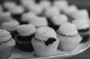Array of cupcakes adorned with white frosting in grayscale
