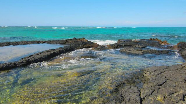 Tropical green tidepool at Kapoho Coast, Island of Hawaii, Hawaii, United States of America. 