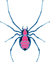 Spider top view, vector isolated animal.
