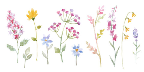 Fototapeta na wymiar Modern watercolor floral vector set. Collage contemporary set of elements. Hand drawn realistic flowers.
