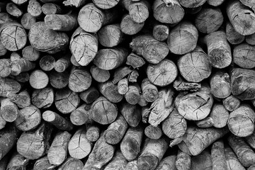 Background of chopped stacked firewood pile in black and white