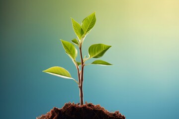 Growing Sapling Gradient Prosperity, soft gradient background, stages of prosperity, high-resolution photograph, nature