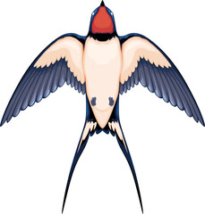 Swallow top view, vector isolated animal.