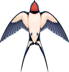Fototapeten Swallow top view, vector isolated animal. © ddraw