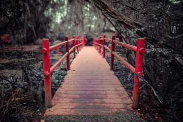 Red bridge ina romantic garden with oak trees and spanish moss