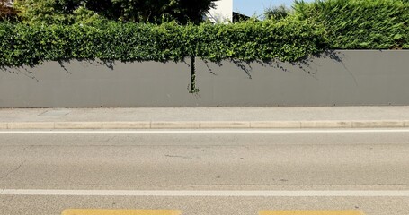 House fence made of gray plaster wall and hedge above. Concrete sidewalk and street in front....