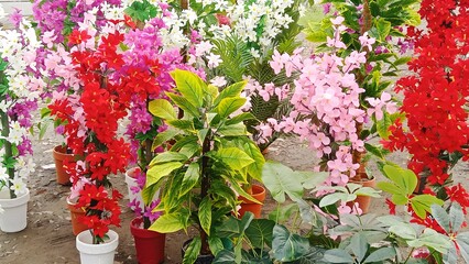 Dazzling Blossoms: Capturing the Beauty of Multiple Attractive Flowers