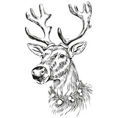Hand Drawn Christmas Reindeer, deer in Vintage Sketch Engraving, black white isolated Vector outlines template for greeting card, poster, invitation, logo