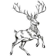 Hand Drawn Christmas Reindeer, deer Silhouette Vintage Sketch Illustration, black white isolated Vector ink outlines template for greeting card, poster, invitation, logo