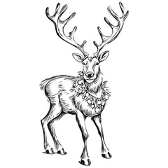 Hand Drawn Christmas Reindeer, deer Silhouette Vintage Engraved Sketch, black white Vector ink outlines template for greeting card, poster, invitation, logo